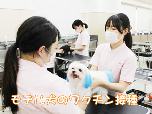 病気から守る予防接種☆